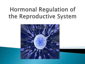 Hormonal health and reproductive systems